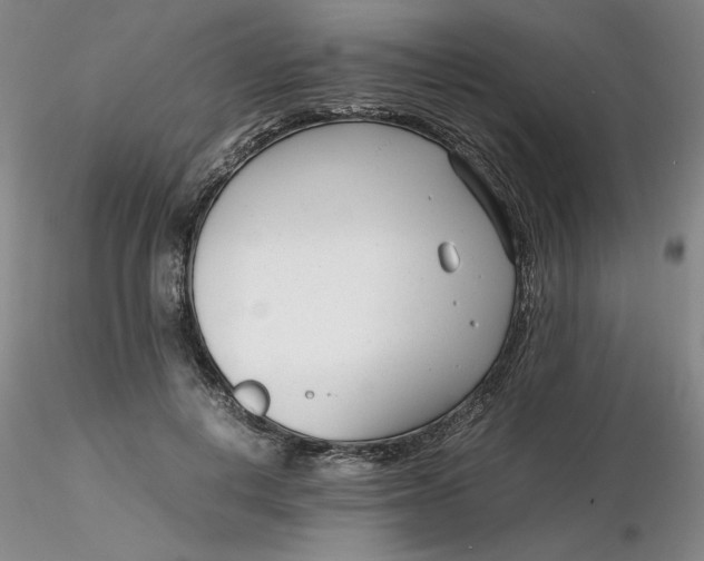 X0000116270648200912211759