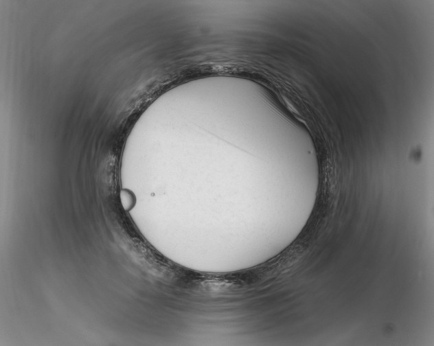 X0000116270650200912211759