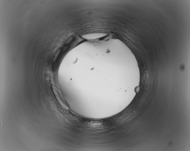 X0000116270651200912211759