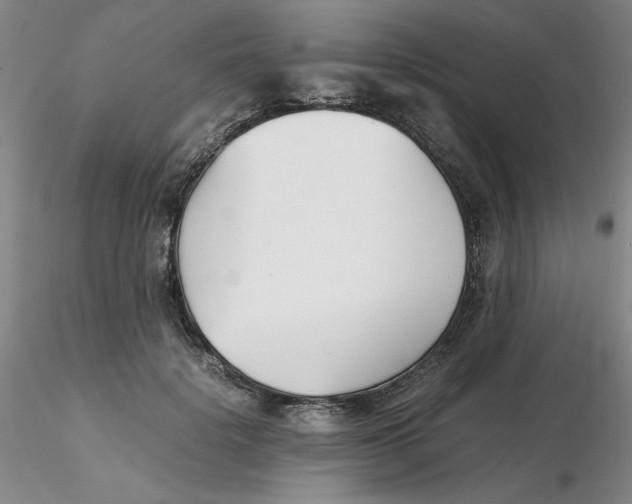 X0000116270652200912211759