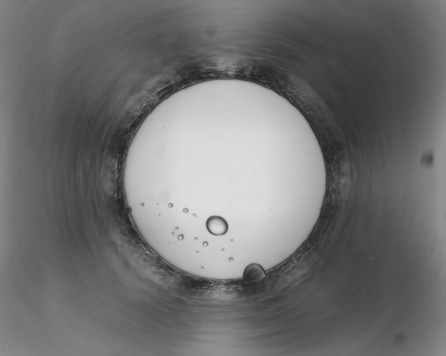 X0000116270656200912211759