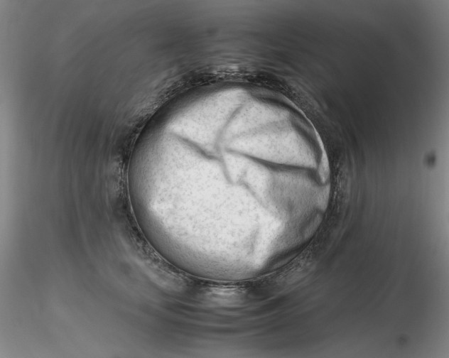 X0000116270659200912211759