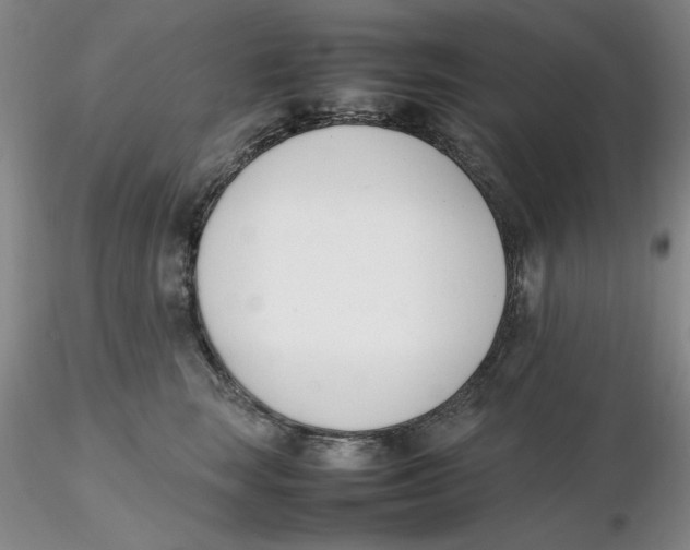 X0000116270663200912211759
