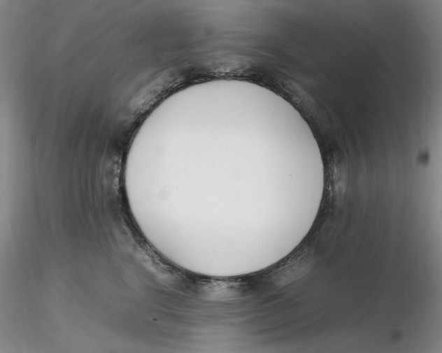 X0000116270664200912211759