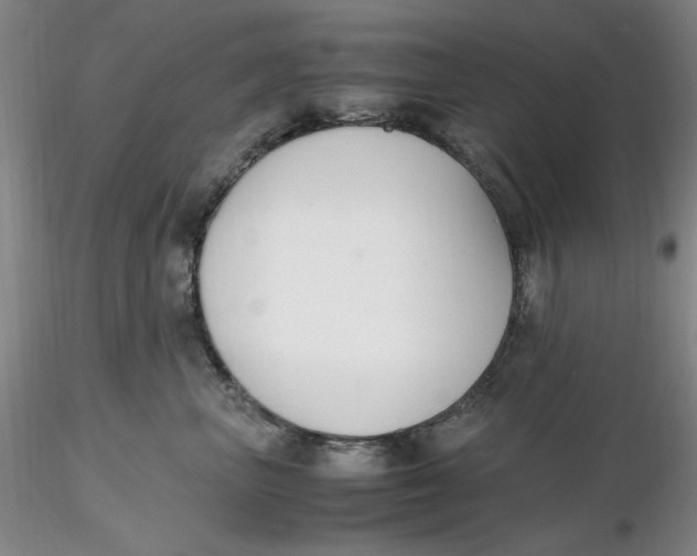 X0000116270667200912211759