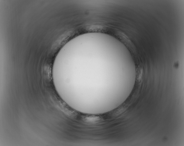 X0000116270669200912211759