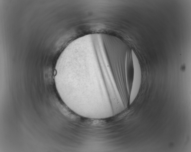X0000116270670200912211759