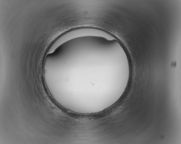 X0000116270673200912211759