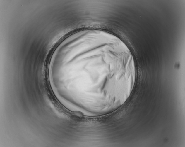 X0000116270674200912211759
