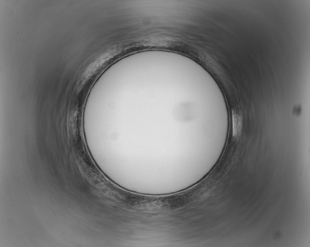X0000116270675200912211759