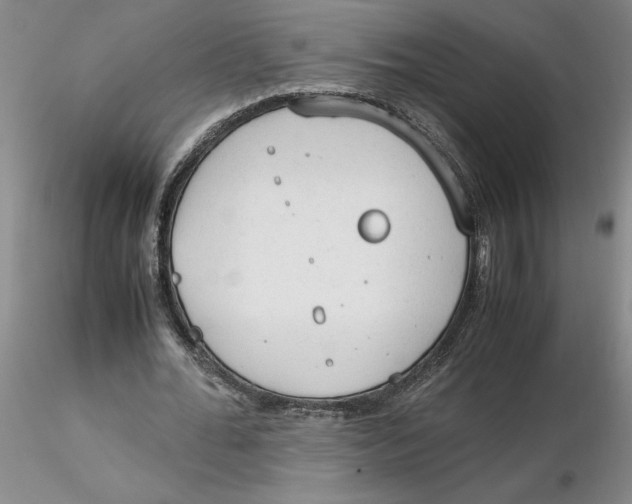 X0000116270676200912211759