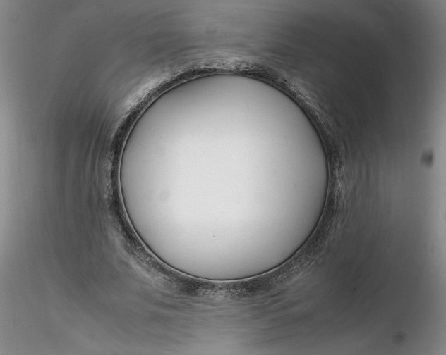 X0000116270679200912211758