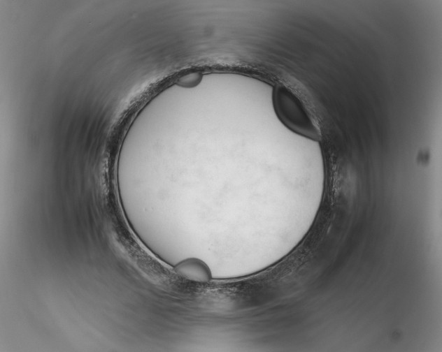 X0000116270680200912211758