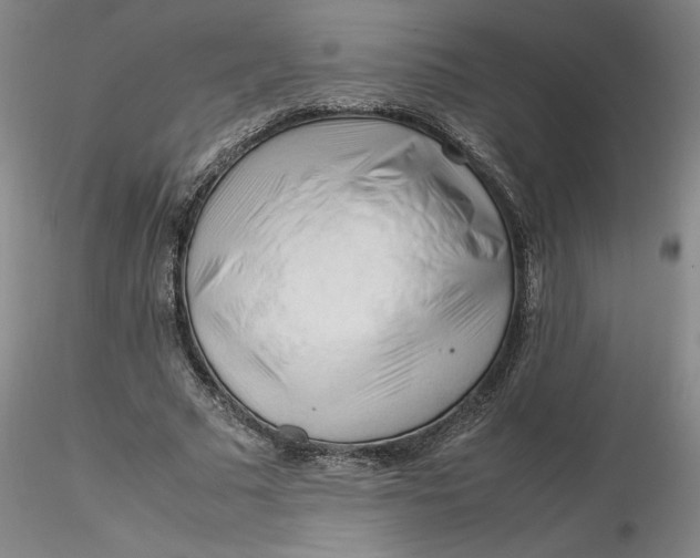 X0000116270681200912211758