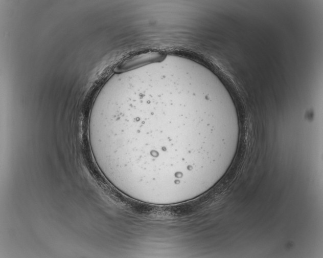X0000116270685200912211758