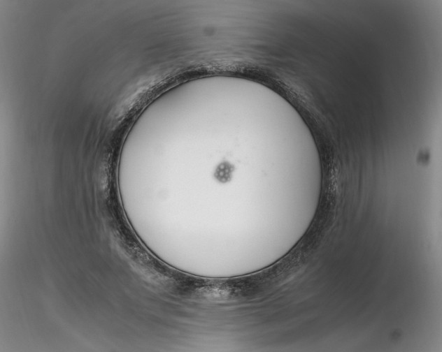 X0000116270687200912211758