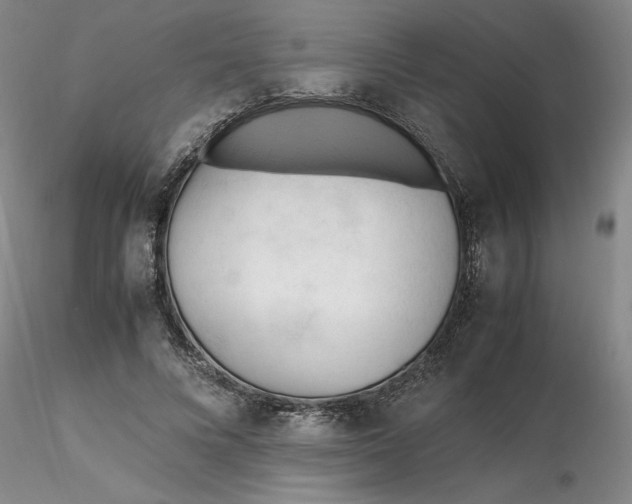 X0000116270688200912211758