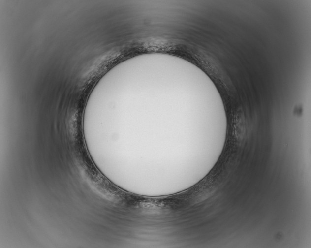X0000116270690200912211758