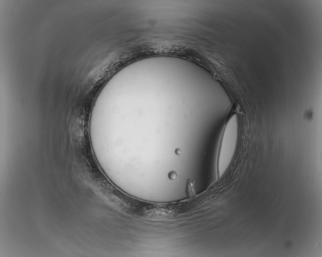 X0000116270691200912211758