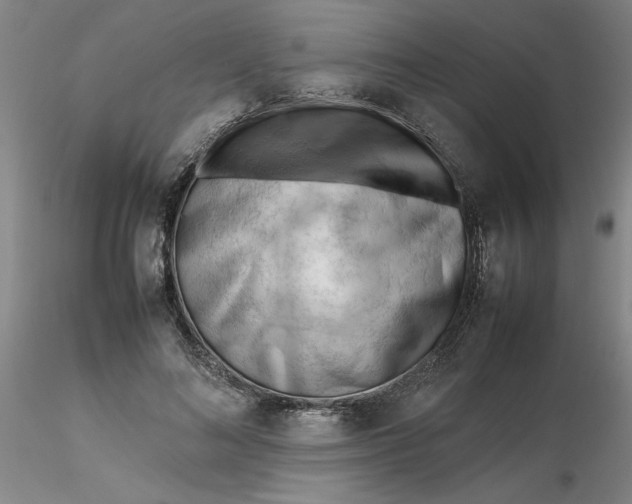 X0000116270692200912211758