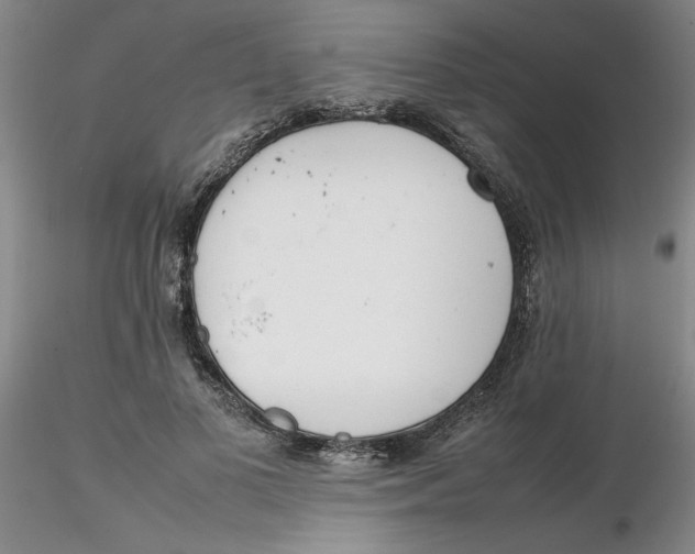 X0000116270693200912211758