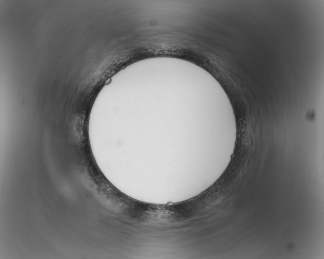 X0000116270695200912211758