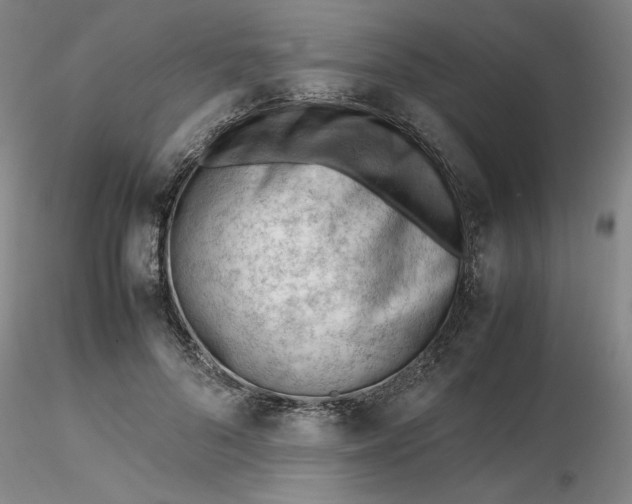 X0000116270696200912211758