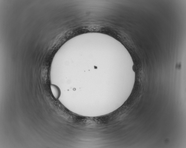 X0000116270697200912211758