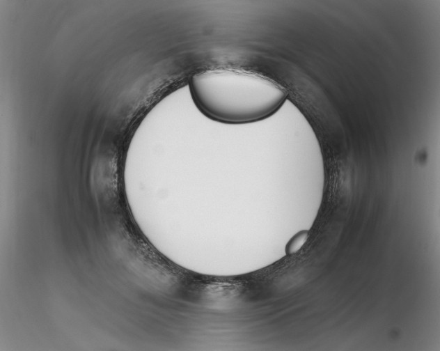 X0000116270700200912211758