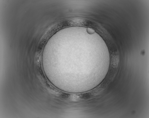 X0000116270701200912211758