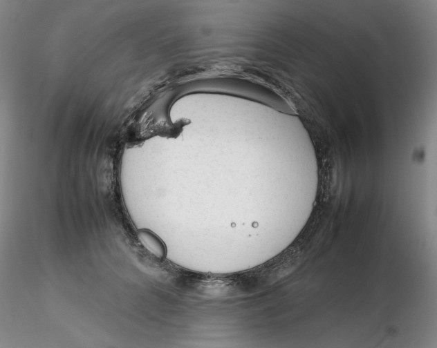 X0000116270704200912211758