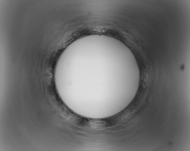 X0000116270707200912211758