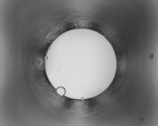 X0000116270709200912211758