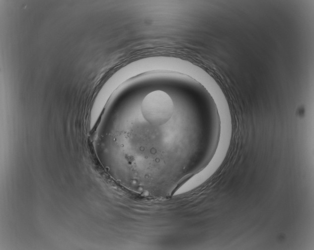 X0000116270715200912211758