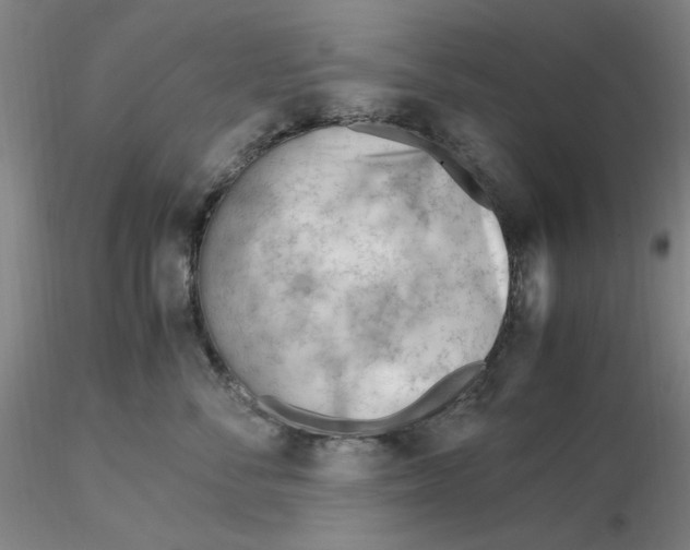 X0000116270716200912211758