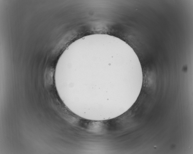 X0000116270717200912211758