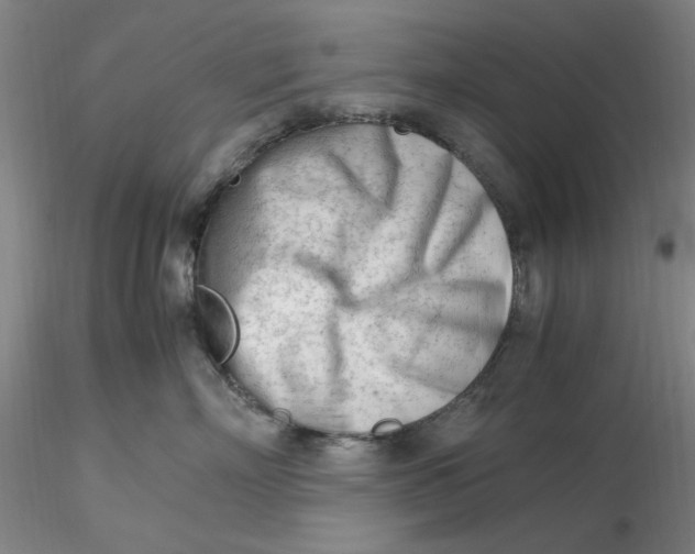 X0000116270718200912211758