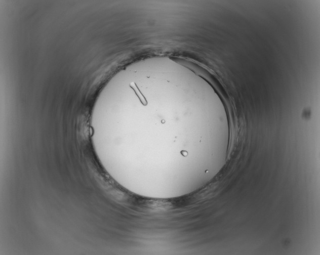 X0000116270719200912211758