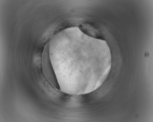 X0000116270720200912211758