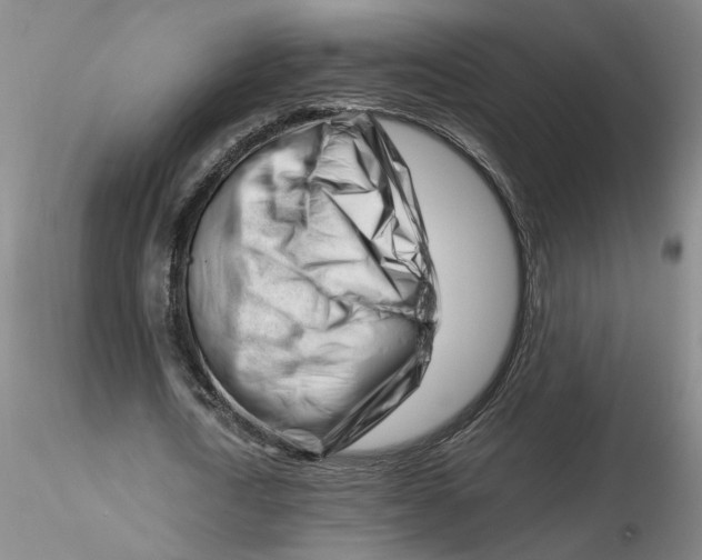 X0000116270722200912211757