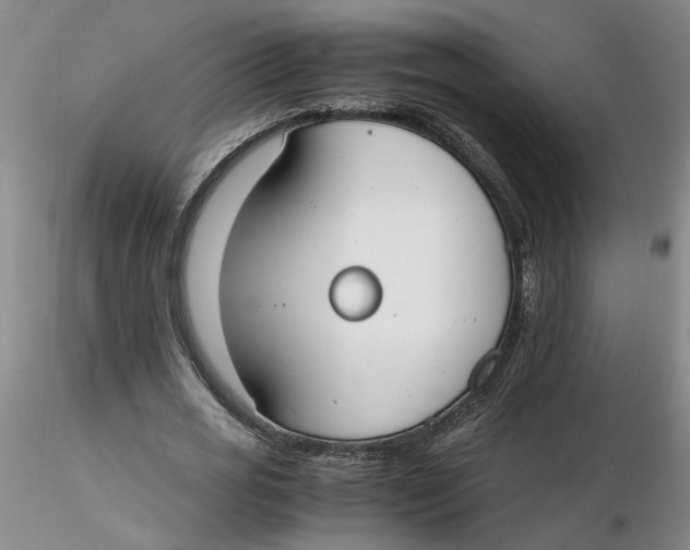 X0000116270725200912211757
