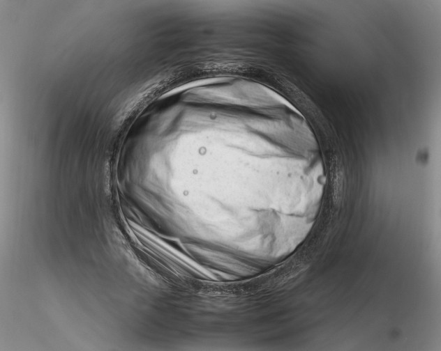 X0000116270729200912211757