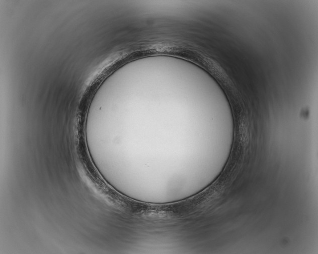 X0000116270730200912211757