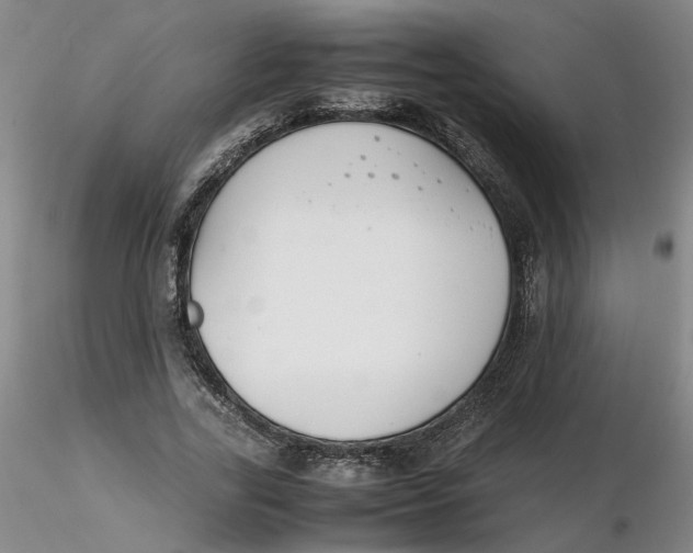 X0000116270731200912211757