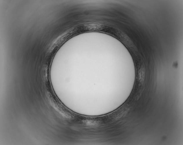 X0000116270733200912211757