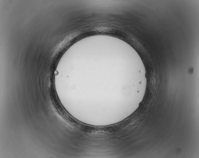 X0000116270734200912211757
