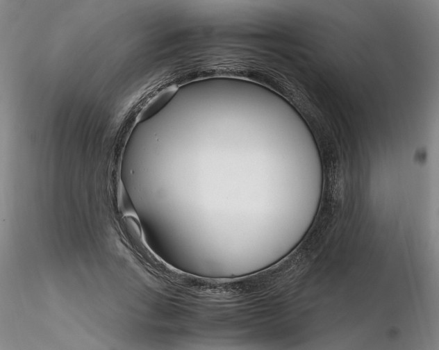 X0000116270735200912211757