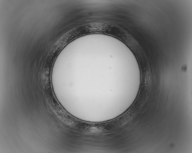 X0000116270737200912211757