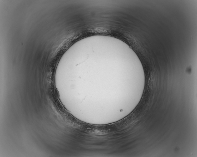 X0000116270739200912211758