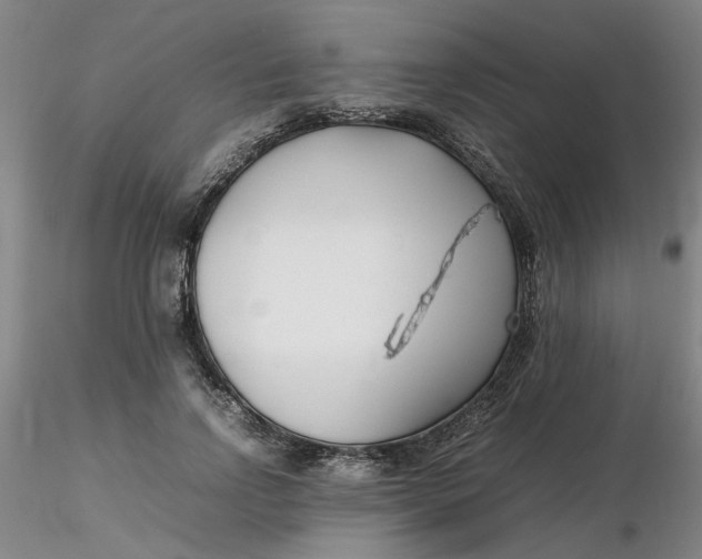 X0000116270742200912211758